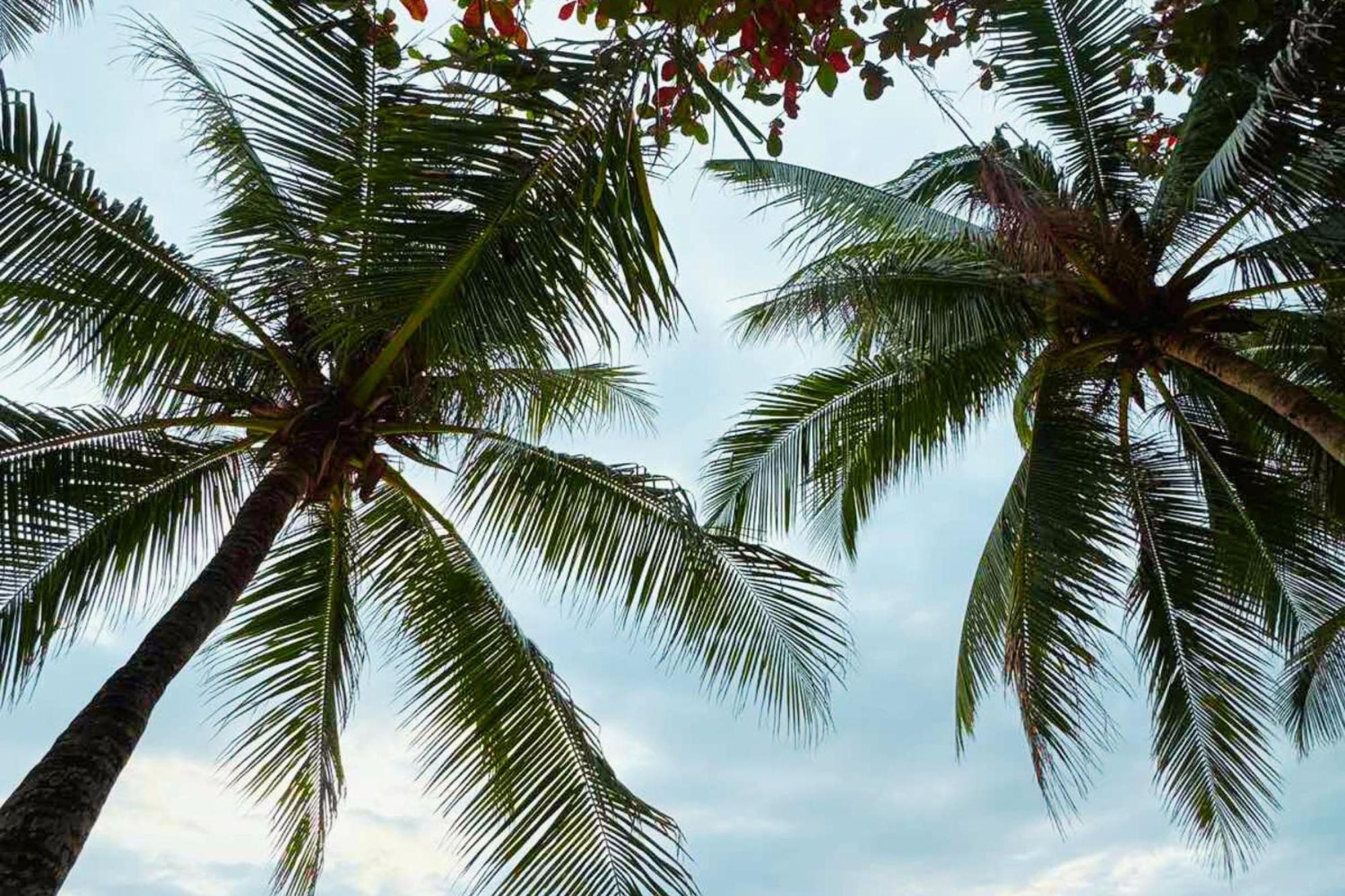 The Muse Hotel Boracay Balabag  Kültér fotó