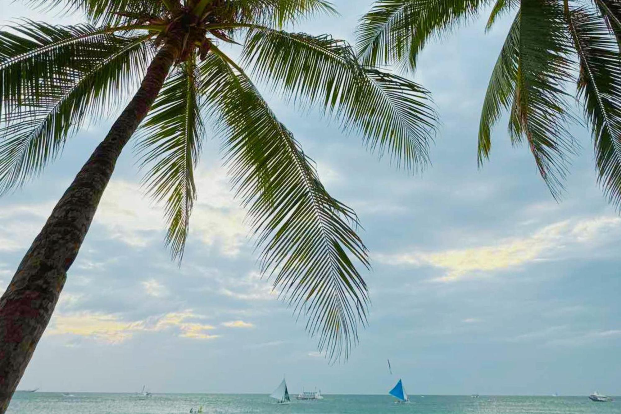 The Muse Hotel Boracay Balabag  Kültér fotó